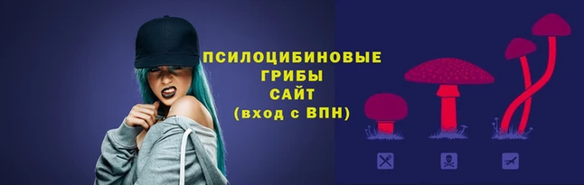 прущие крисы Балабаново