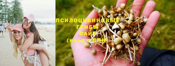 прущая мука Белоозёрский