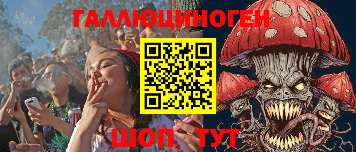 Галлюциногенные грибы мицелий Ессентуки