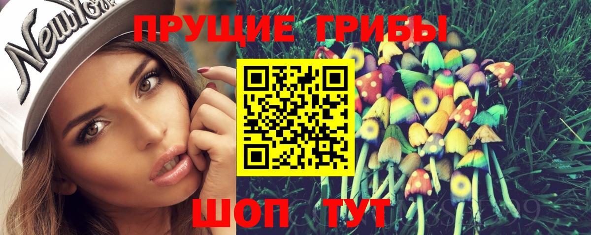 Галлюциногенные грибы Psilocybine cubensis  Вход с VPN  наркошоп  Ессентуки 