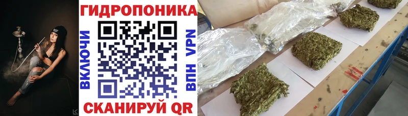 продажа наркотиков  Ессентуки  блэк спрут как войти  Конопля LSD WEED 